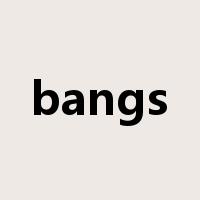 bangs是什么意思