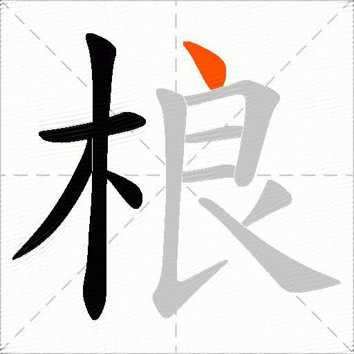 桹