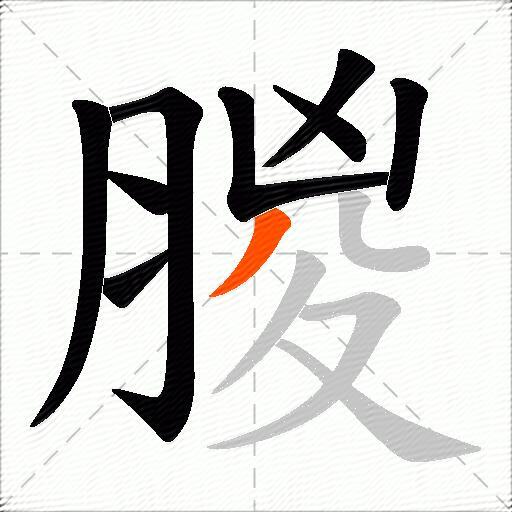 朡