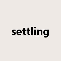 settling是什么意思