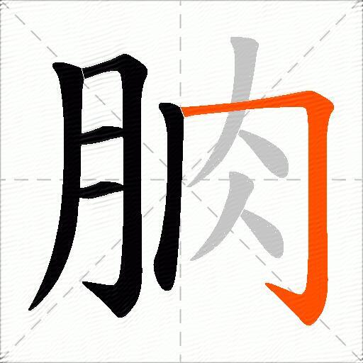朒
