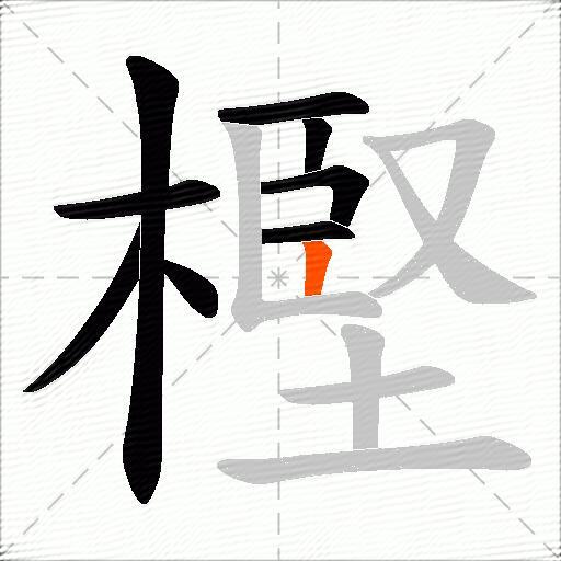 樫