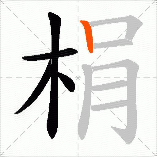 梋