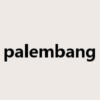 palembang是什么意思