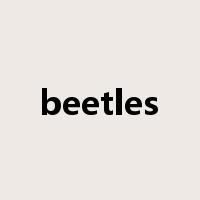 beetles是什么意思