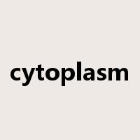 cytoplasm是什么意思