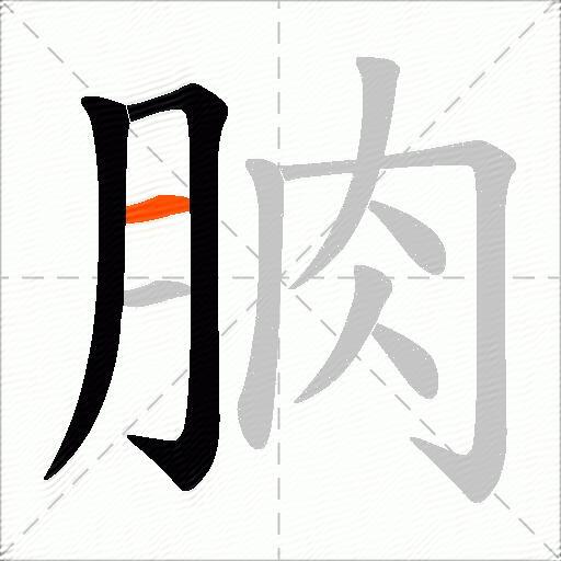 朒
