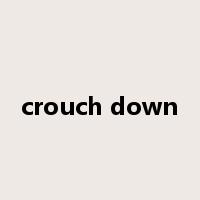 crouch down是什么意思