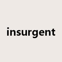 insurgent是什么意思