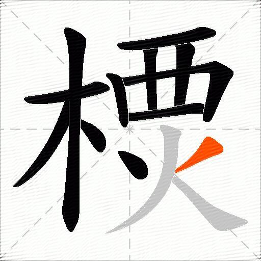 樮