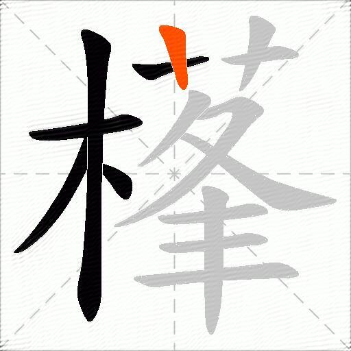 樥
