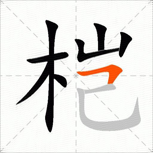 桤