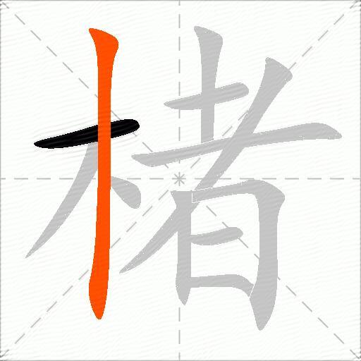 楮