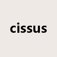 cissus是什么意思