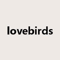 lovebirds是什么意思