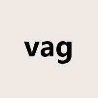 vag是什么意思