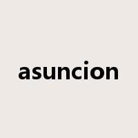 asuncion是什么意思