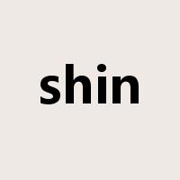 shin是什么意思