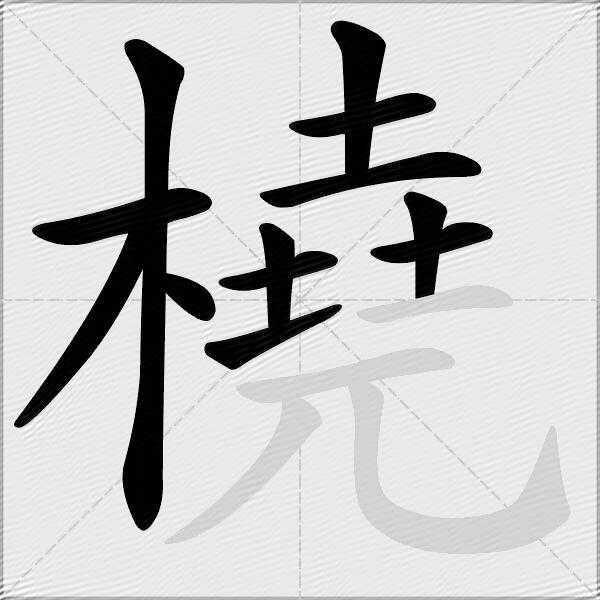 橈