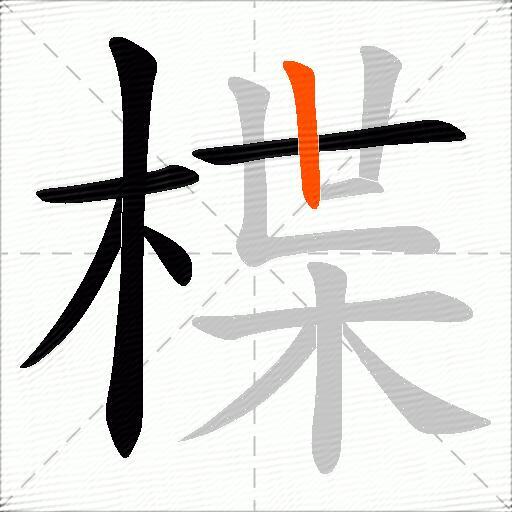 楪