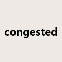 congested是什么意思