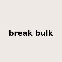 break bulk是什么意思