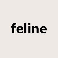 feline是什么意思