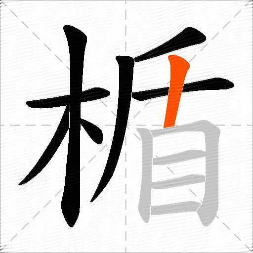 楯