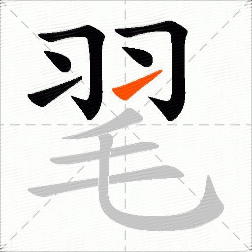 毣