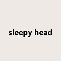 sleepy head是什么意思