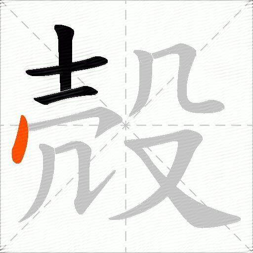 殻