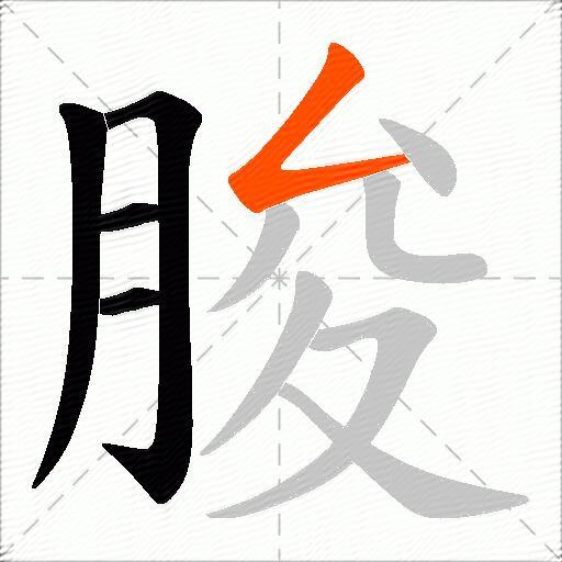 朘