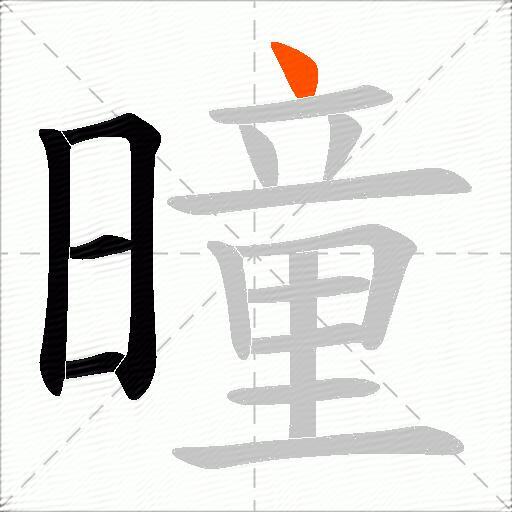 曈