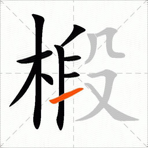 椴