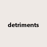 detriments是什么意思