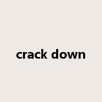 crack down是什么意思