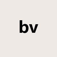 bv是什么意思