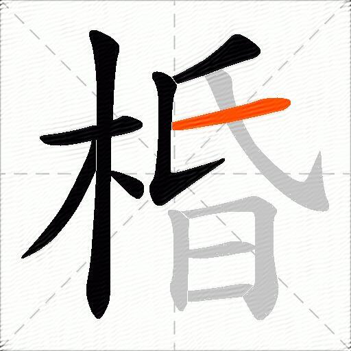棔