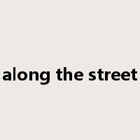 along the street是什么意思