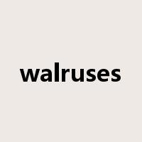 walruses是什么意思