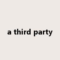 a third party是什么意思