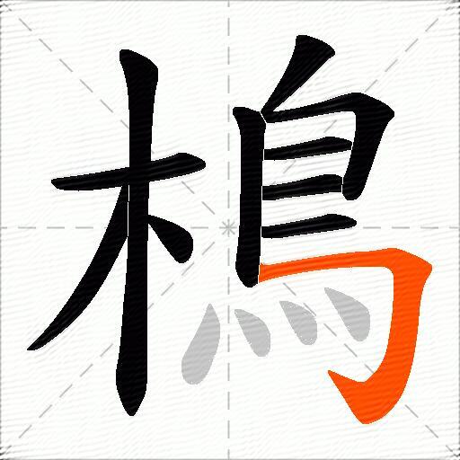 樢