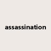 assassination是什么意思