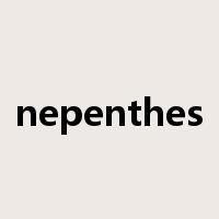 nepenthes是什么意思