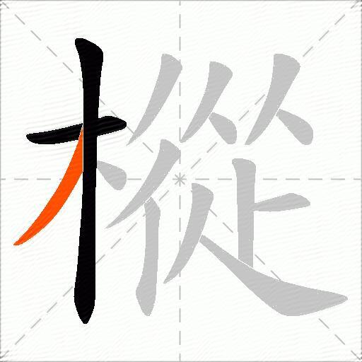 樅