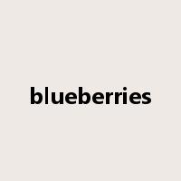 blueberries是什么意思