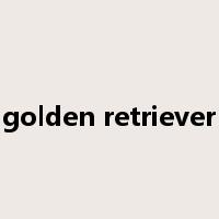 golden retriever是什么意思
