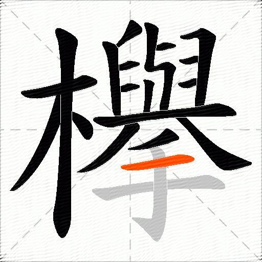 欅