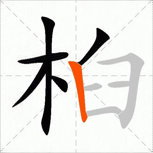桕