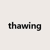 thawing是什么意思